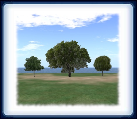 Tree collection